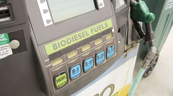 Biodiesel fuel pump