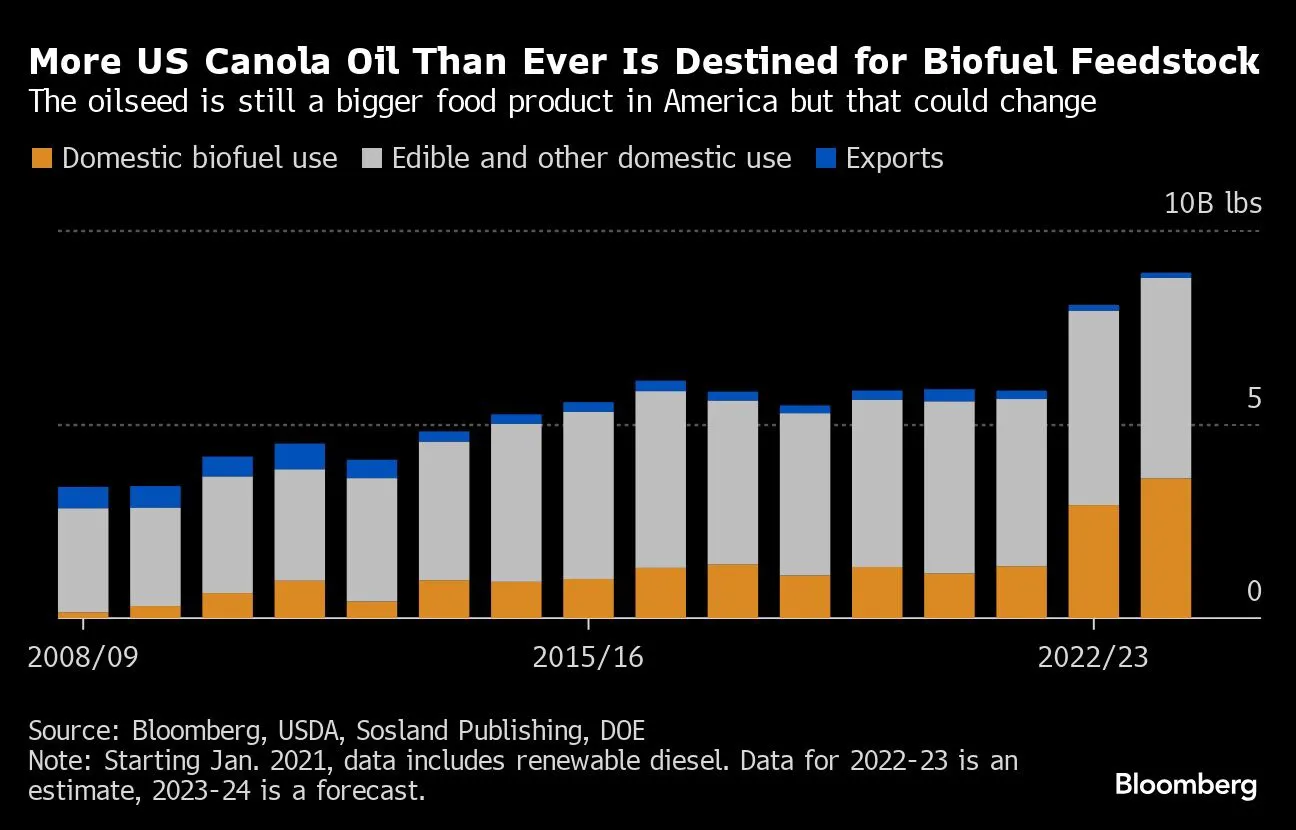 canola market