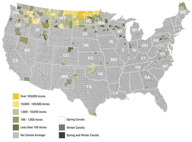 Canola growing map